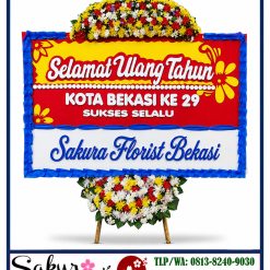 ULTAH6